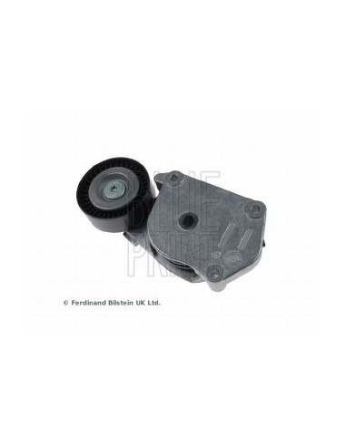 Tendicinghia, cinghia poly-v