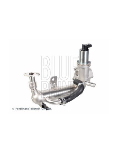 Modulo egr