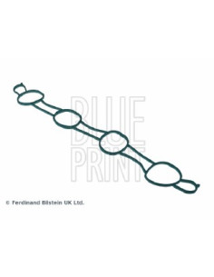 Guarnizione, collettore...