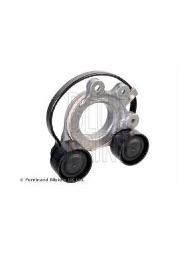 Tendicinghia, cinghia poly-v