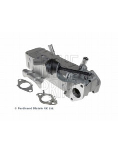Modulo egr