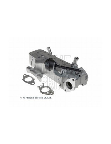 Modulo egr