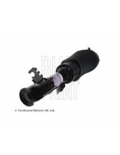 Gamba elastica con...