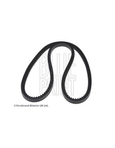 Cinghia trapezoidale