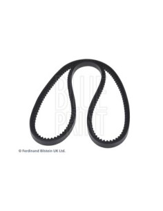 Cinghia trapezoidale