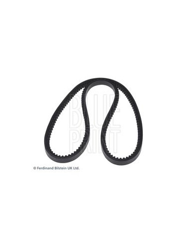 Cinghia trapezoidale